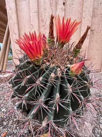 10121 E Catalina Highway, Tucson, AZ 85749