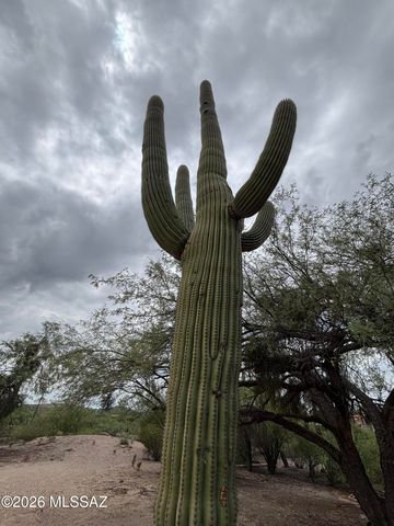 10121 E Catalina Highway, Tucson, AZ 85749