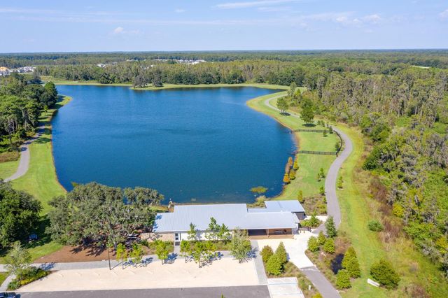 13105 PAYTON STREET, Odessa, FL 33556
