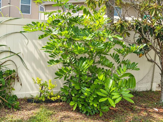 4408 ARUBA BOULEVARD, Clermont, FL 34711