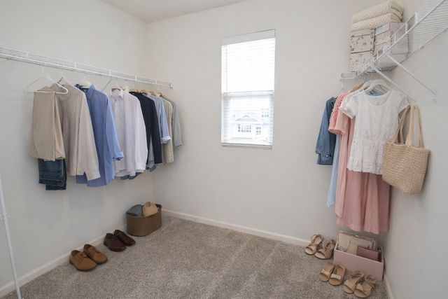 6816 Cobble Springs Lane, Wonder Lake, IL 60097