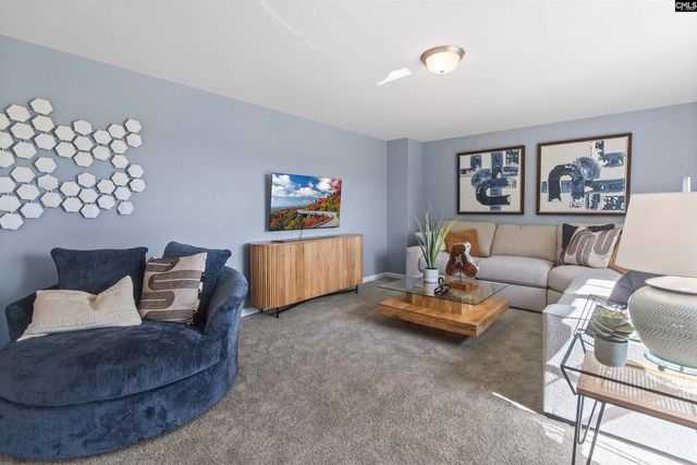 725 Feldspar Court, Chapin, SC 29036