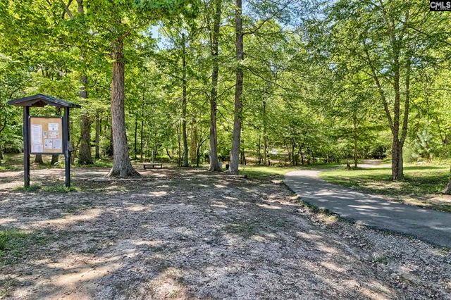 725 Feldspar Court, Chapin, SC 29036