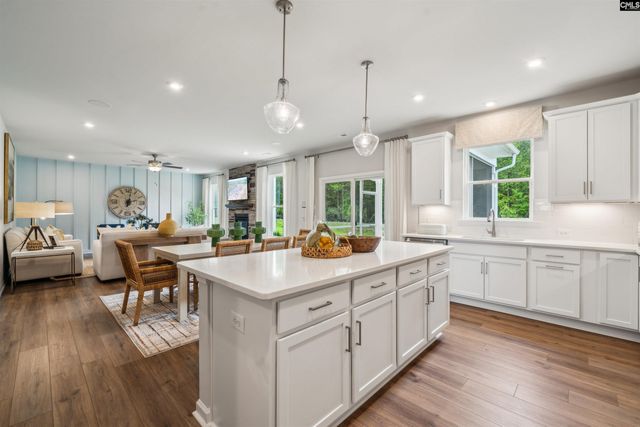725 Feldspar Court, Chapin, SC 29036