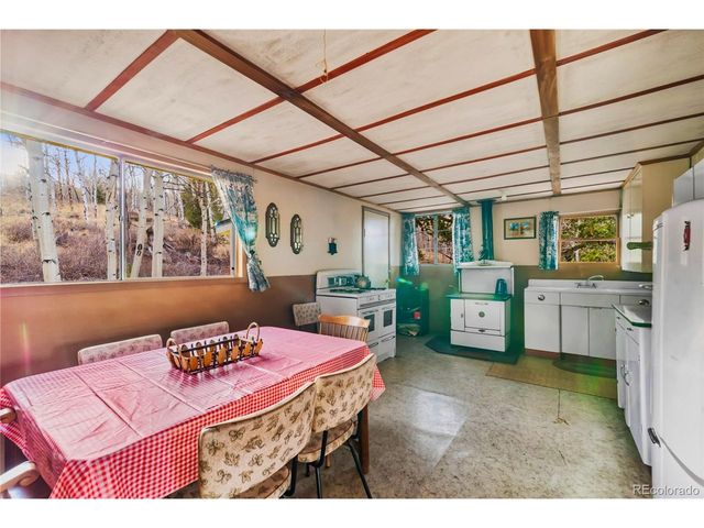 26 Meadow Dr, Fairplay, CO 80440