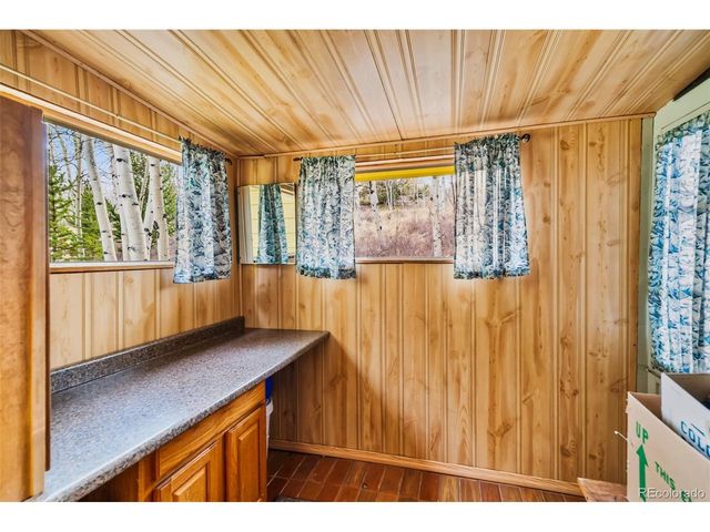 26 Meadow Dr, Fairplay, CO 80440