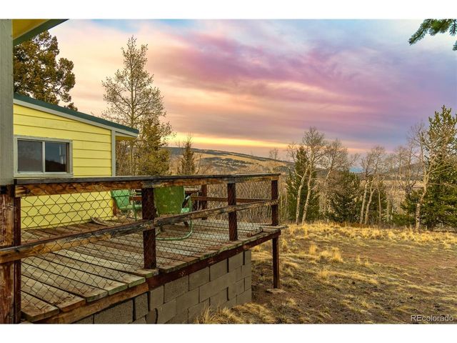 26 Meadow Dr, Fairplay, CO 80440
