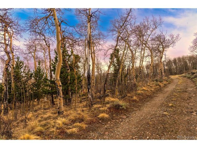 26 Meadow Dr, Fairplay, CO 80440