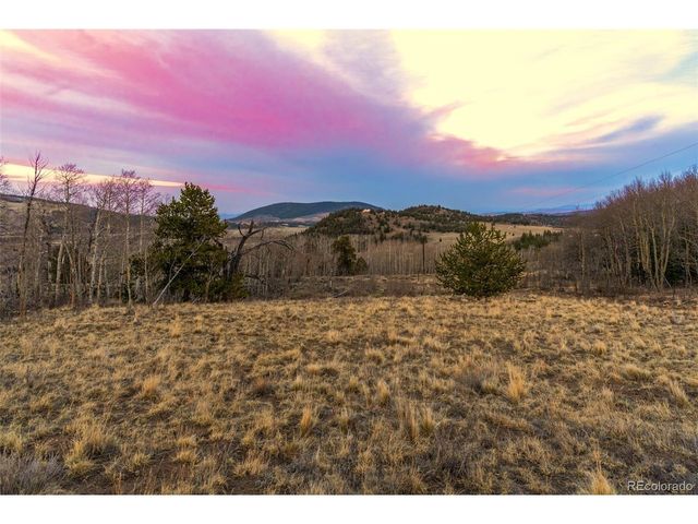 26 Meadow Dr, Fairplay, CO 80440