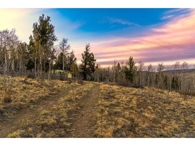 26 Meadow Dr, Fairplay, CO 80440