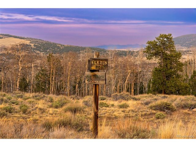 26 Meadow Dr, Fairplay, CO 80440