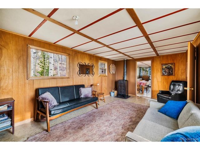 26 Meadow Dr, Fairplay, CO 80440