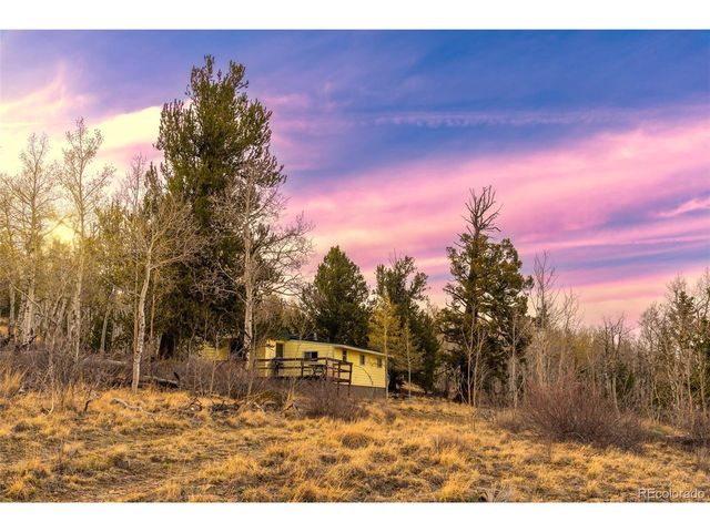 26 Meadow Dr, Fairplay, CO 80440