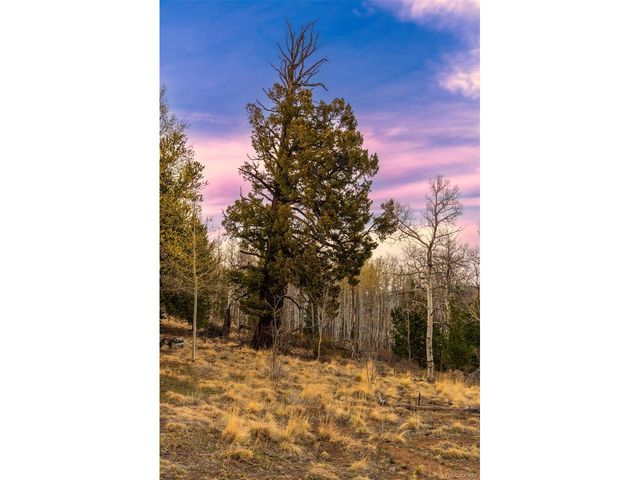 26 Meadow Dr, Fairplay, CO 80440