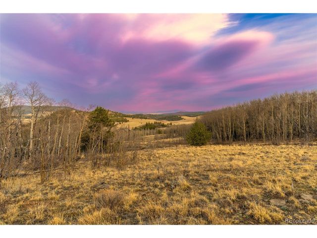 26 Meadow Dr, Fairplay, CO 80440