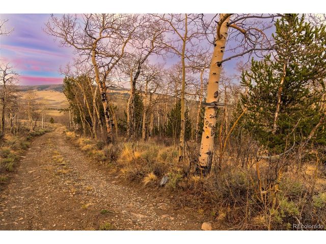 26 Meadow Dr, Fairplay, CO 80440