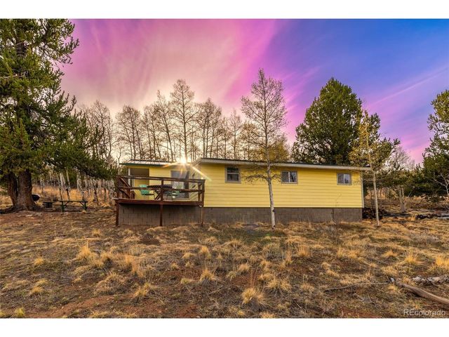26 Meadow Dr, Fairplay, CO 80440