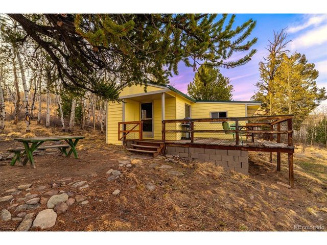 26 Meadow Dr, Fairplay, CO 80440