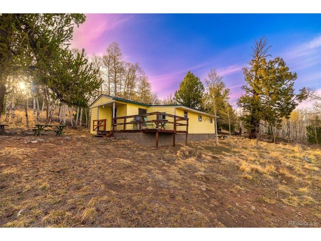 26 Meadow Dr, Fairplay, CO 80440