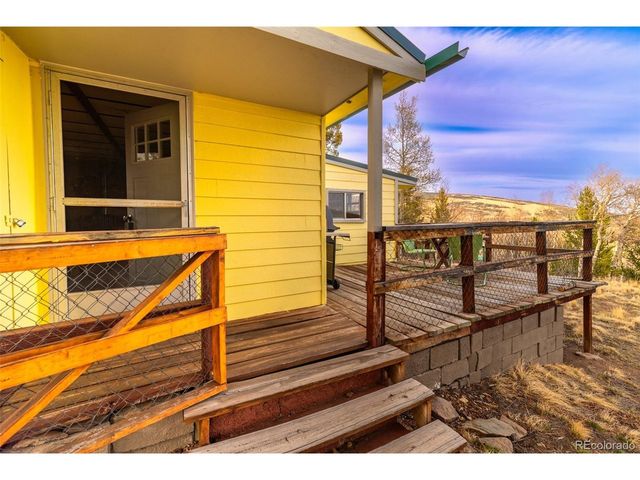26 Meadow Dr, Fairplay, CO 80440
