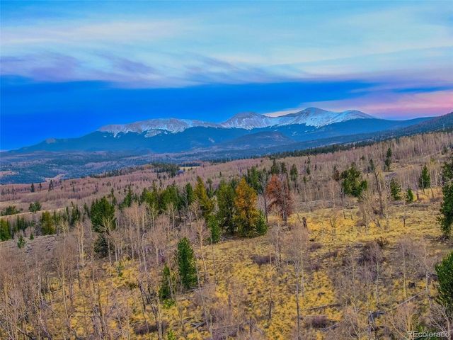 26 Meadow Dr, Fairplay, CO 80440