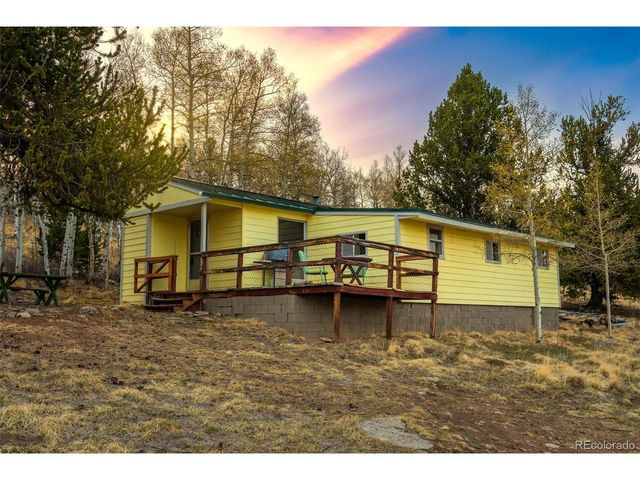 26 Meadow Dr, Fairplay, CO 80440