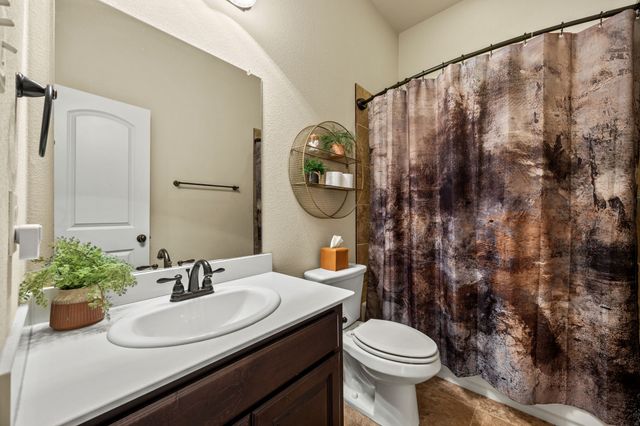 906 Bald Cypress Drive, Fate, TX 75087