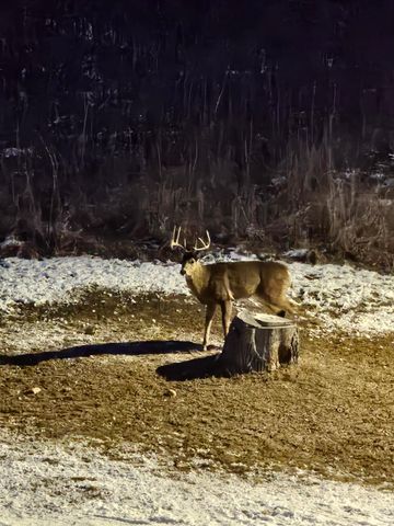 809 60th Avenue SW, Rochester, MN 55902