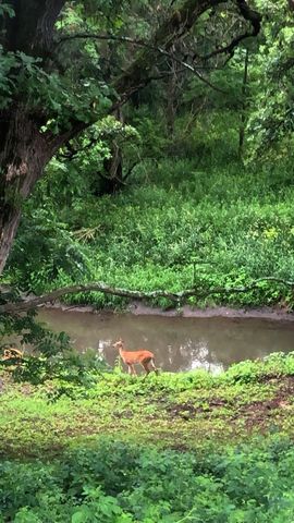 809 60th Avenue SW, Rochester, MN 55902