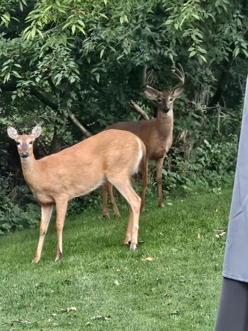 809 60th Avenue SW, Rochester, MN 55902