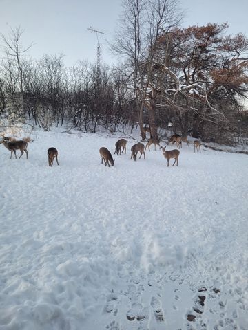 809 60th Avenue SW, Rochester, MN 55902