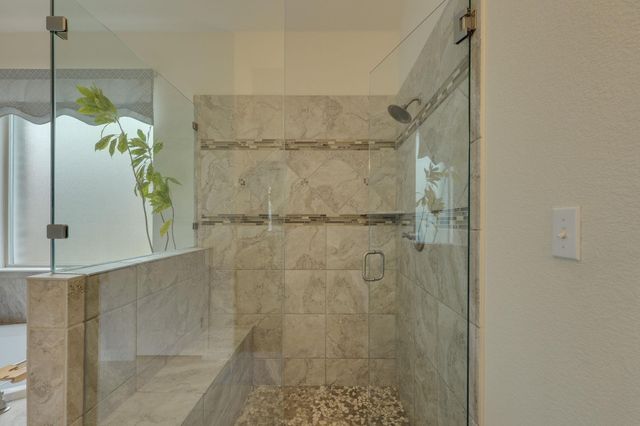 2848 Saint Paul Rivera, Round Rock, TX 78665