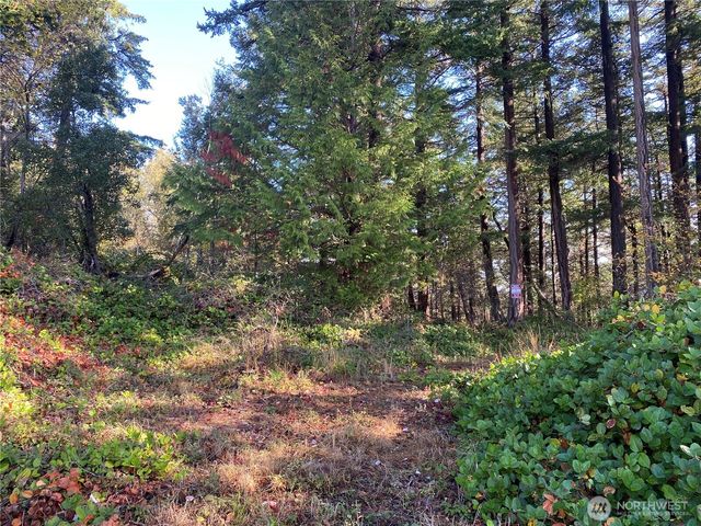 417 Arbutus Place, Bellingham, WA 98225