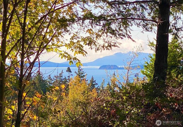 417 Arbutus Place, Bellingham, WA 98225