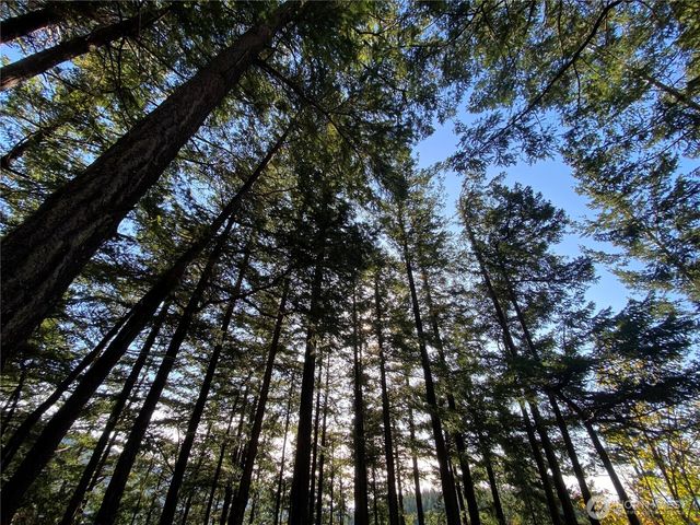 417 Arbutus Place, Bellingham, WA 98225