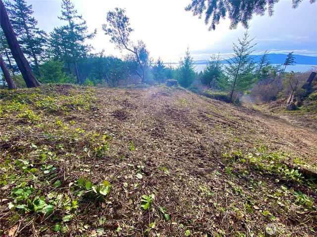 417 Arbutus Place, Bellingham, WA 98225