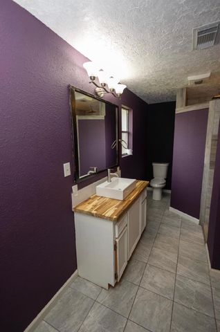 3226 Abbey Field Lane, Porter, TX 77365