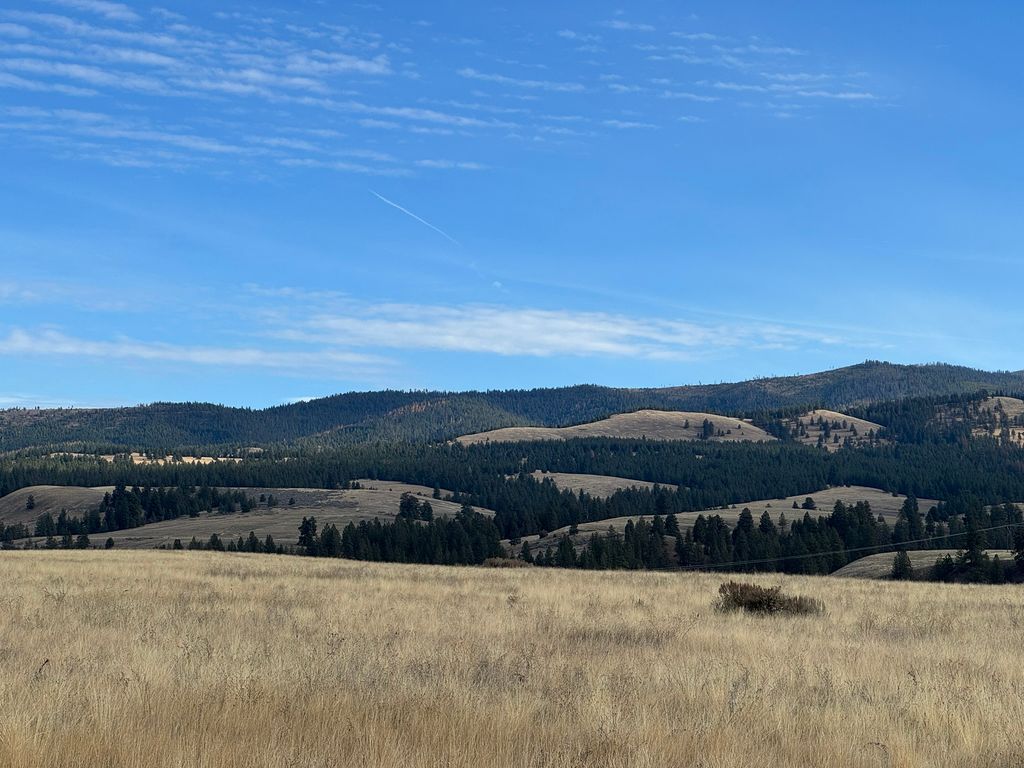 Lot 13 Willy Way, Stevensville, MT 59870 photo 2