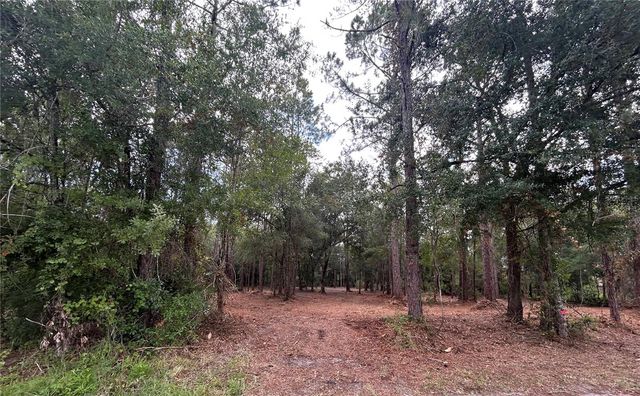 WESTPOINT DRIVE, Wesley Chapel, FL 33544