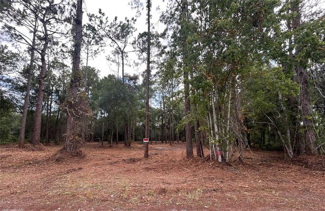 WESTPOINT DRIVE, Wesley Chapel, FL 33544