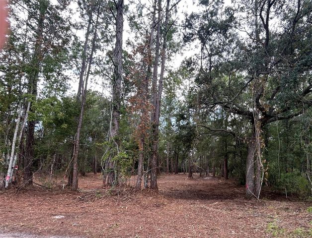 WESTPOINT DRIVE, Wesley Chapel, FL 33544