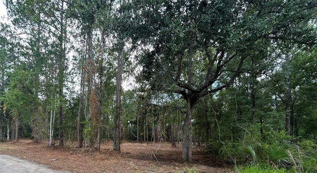 WESTPOINT DRIVE, Wesley Chapel, FL 33544