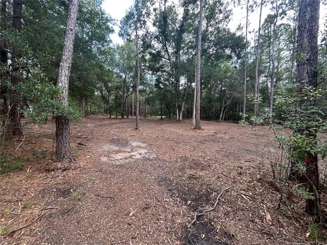 WESTPOINT DRIVE, Wesley Chapel, FL 33544