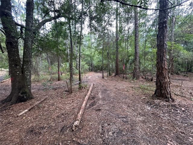 WESTPOINT DRIVE, Wesley Chapel, FL 33544