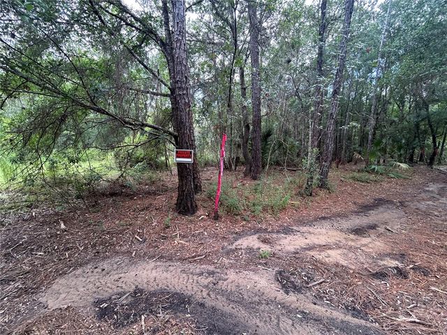 WESTPOINT DRIVE, Wesley Chapel, FL 33544