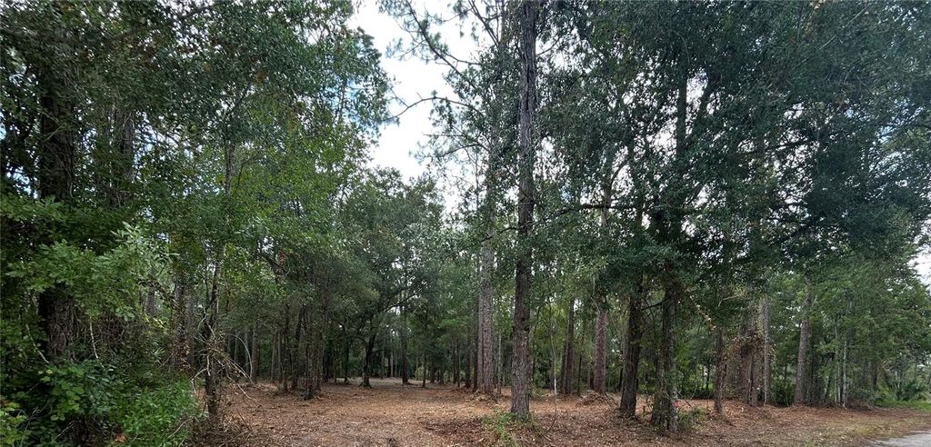 WESTPOINT DRIVE, Wesley Chapel, FL 33544