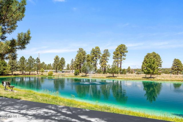 2209 OLD CROOKS Trail, Overgaard, AZ 85933