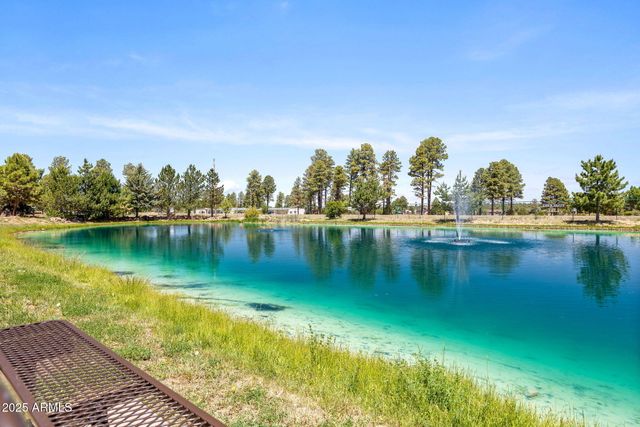 2209 OLD CROOKS Trail, Overgaard, AZ 85933