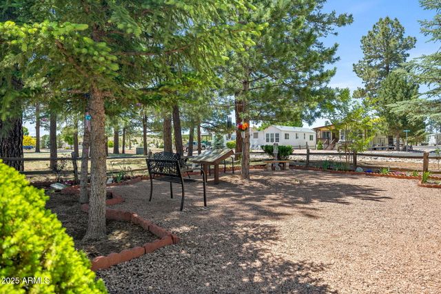 2209 OLD CROOKS Trail, Overgaard, AZ 85933