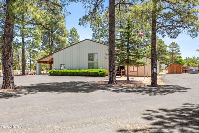 2209 OLD CROOKS Trail, Overgaard, AZ 85933
